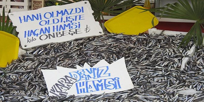 HAMSİ 15 LİRADAN TEZGÂHLARI SÜSLÜYOR