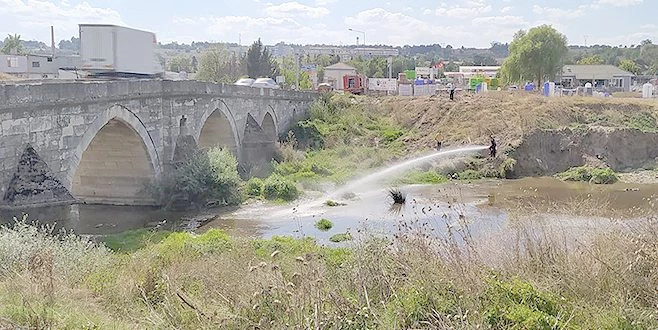 ÖNCE RENGİ DEĞİŞTİ ARDINDAN YÜZLERCE BALIK ÖLDÜ