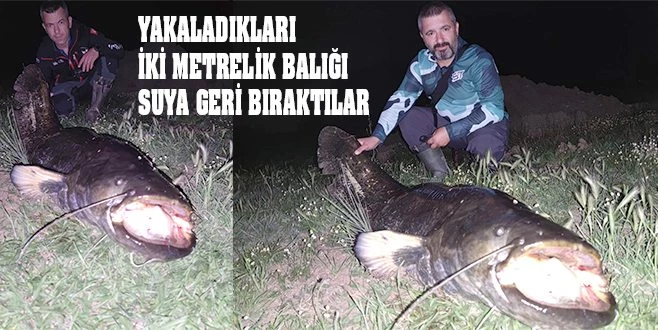 SARAY?DA DEV YAYIN BALIĞI YAKALANDI