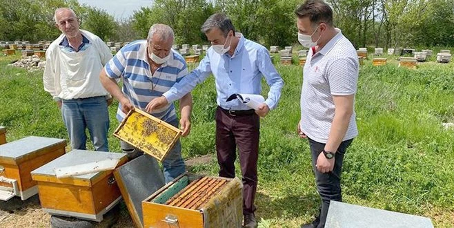 MEŞE BALI ÜRETEN ARICILARIN SAHA KONTROLLER YAPILIYOR