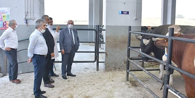 BÜYÜKŞEHİR`İN MEZBAHANESİ İLK KURBAN BAYRAMI`NI YAŞIYOR