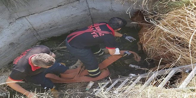 SU KUYUSUNA DÜŞEN DANANIN YARDIMINA İTFAİYE EKİPLERİ KOŞTU