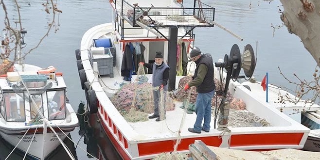 MARMARA?DA BALIKÇILARIN KORKULU RÜYASI 10 YIL SONRA GERİ DÖNDÜ