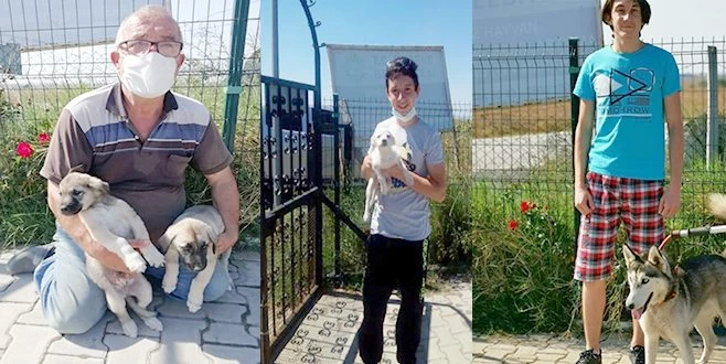 SEVİMLİ DOSTLAR YENİ YUVALARINA UĞURLANIYOR