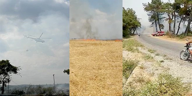 ÇANAKKALE İLE EDİRNE İL SINIRI ARASINDA YANGIN