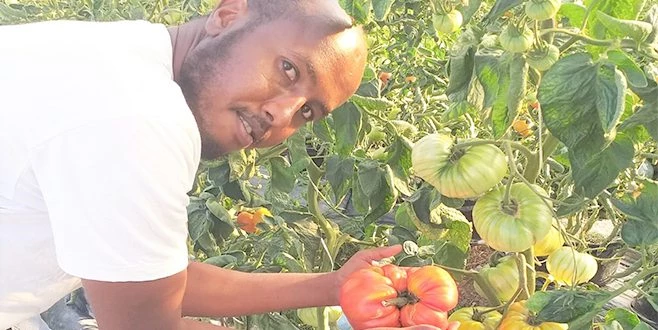 TÜRKİYE REKORU: BİR TANESİ TAM 1 KİLO 130 GRAM