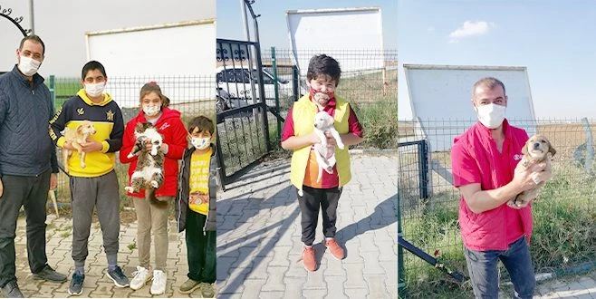 ERGENE?DEKİ SEVİMLİ DOSTLARI BELEDİYE SAHİPLENDİRMEYE DEVAM EDİYOR