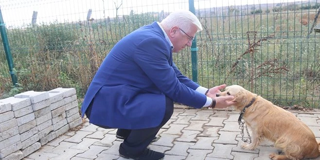 ERGENE?DE  SOKAK HAYVANLARI SAHİPLENDİRİLİYOR