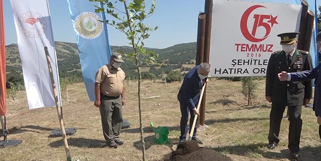15 TEMMUZ ŞEHİTLERİ HATIRA ORMANINA 251 ADET FİDAN DİKİLDİ