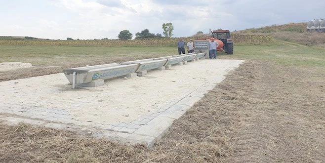 BÜYÜKŞEHİR BELEDİYESİ HAYVANLAR İÇİN SUVAT YAPIYOR