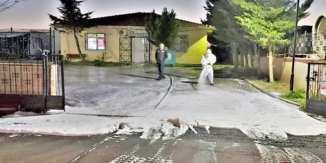 SOKAKTA YAŞAYAN CANLAR GEÇİCİ BAKIMEVİNDE DE GÜVENDE