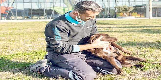 ALTI BÖLGEDE YÜZLERCE SOKAK HAYVANI BESLENDİ 