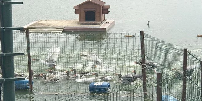 FABRİKASININ YANINA  HOBİ VE HAYVANAT BAHÇESİ