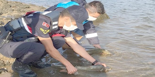 SUDA YASAK AVCILIĞA GEÇİT YOK