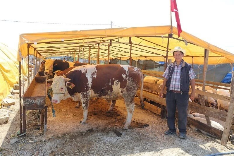 KAPAKLI`DA KURBANLIKLAR PAZARDA!