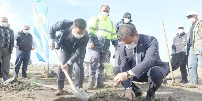 KAPAKLI?DA FİDANLAR TOPRAKLA BULUŞTU