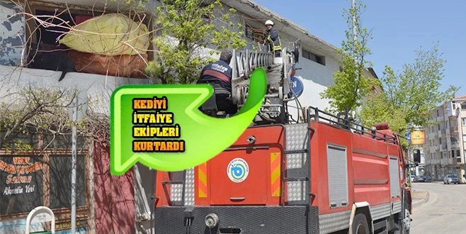 ÇATIDA MAHSUR KALAN KEDİ KURTARILDI