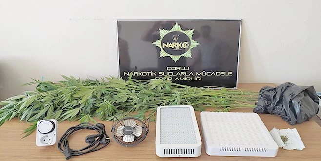 EVİNİ KENEVİR SERASINA DÖNÜŞTÜRMÜŞ