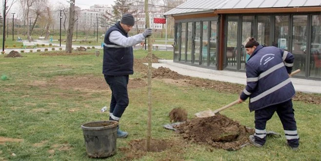 KENT PARK`A FİDAN DİKİLİYOR