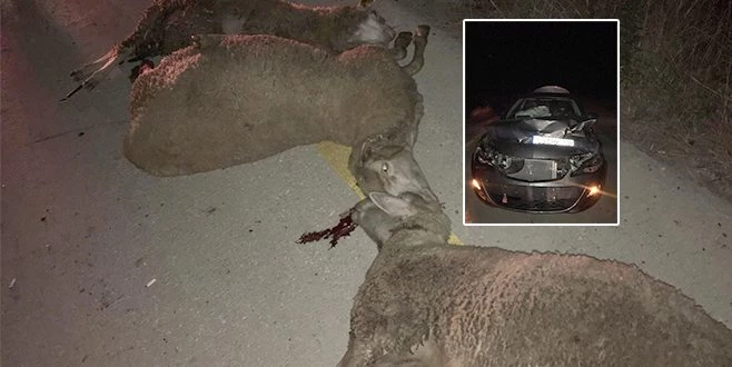  OTOMOBİL SÜRÜYE ÇARPTI