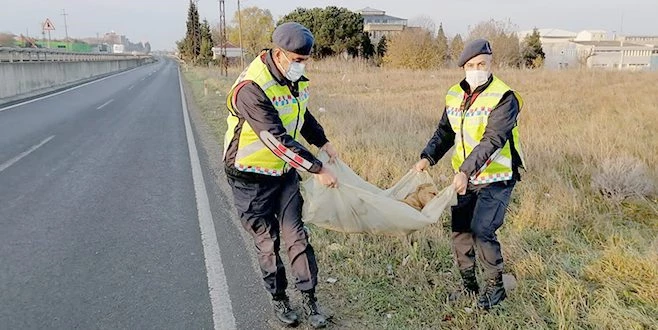 ÇERKEZKÖY`DE YARALI KÖPEĞE JANDARMA EKİPLERİ SAHİP ÇIKTI
