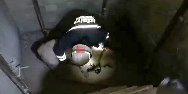 ASANSÖR BOŞLUĞUNDA MAHSUR KALAN KÖPEK KURTARILDI