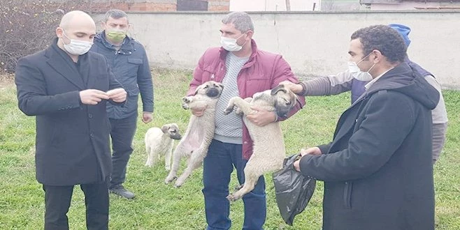 SALDIRILAR HALKIN UYKULARINI KAÇIRMIŞTI, ÇAREYİ BÖYLE BULDULAR