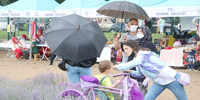 LAVANTA TARLASINDA FOTOĞRAF TUTKUSU YAĞMUR DİNLEMEDİ