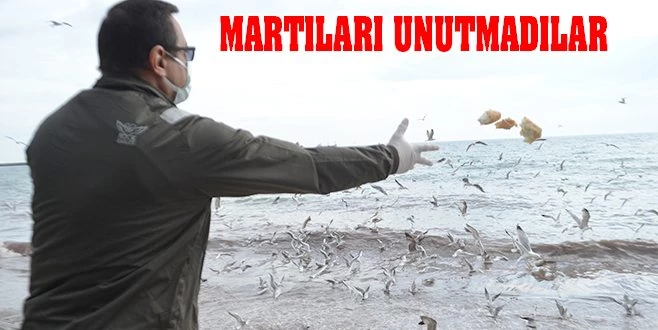  KISITLAMADA AÇ KALAN MARTILARIN YİYECEK KAPMA MÜCADELESİ