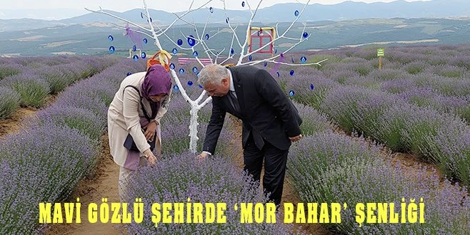 MAVİ GÖZLÜ ŞEHİRDE ?MOR BAHAR? ŞENLİĞİ