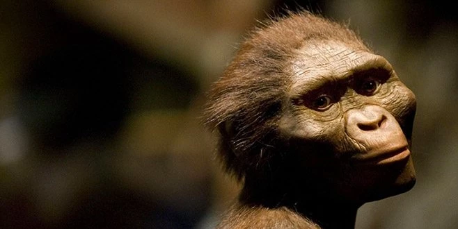 İNSANLARDAN DAHA AKILLIYMIŞ