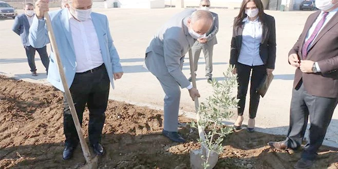 KÜL OLAN ORMANLAR, YENİ FİDANLARLA YEŞERECEK