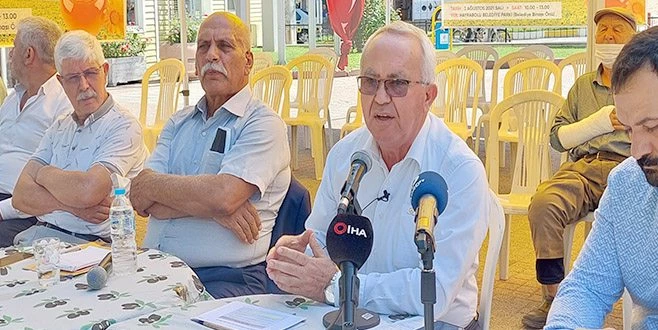 ÇAM BALI ÜRETİMİNİN 40 YILI TEHLİKEYE GİRDİ