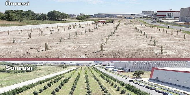 ÇOSB?NİN YEŞİL ALANLARI GÖZ DOLDURUYOR