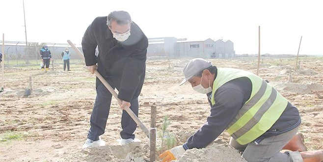 ÇOSB 350 FİDANI TOPRAKLA BULUŞTURDU