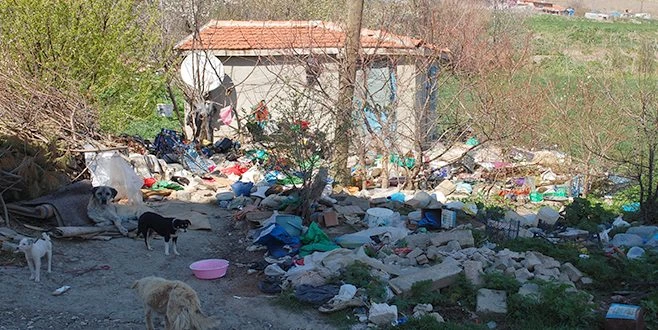 ÇÖP EV TEMİZLENMEYİ BEKLİYOR