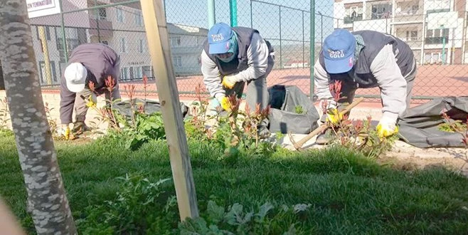 ŞEHİR SÜLEYMANPAŞA`DA YETİŞEN ÇİÇEKLER İLE RENKLENİYOR