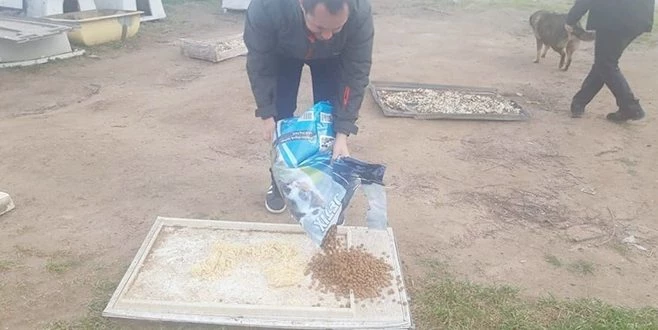 ERGENE`DE SOKAK HAYVANLARI UNUTULMUYOR