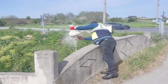 ERGENE BELEDİYESİ LARVA ÜREME NOKTALARINDAKİ ÇALIŞMALARINI ARTTIRDI