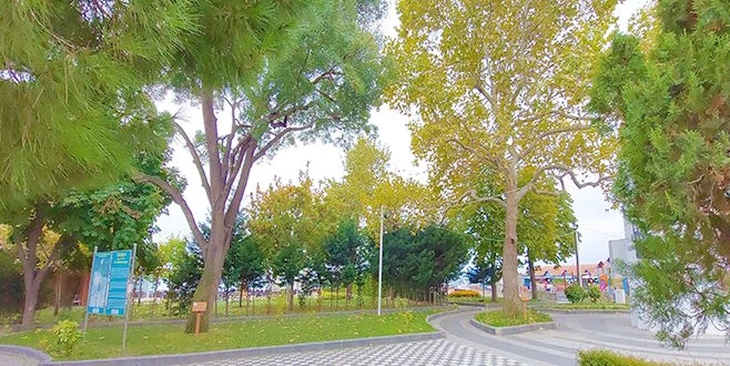 TEKİRDAĞ?DA İKİ DEVLET GÖREN TABİATIN SESSİZ TANIKLARI