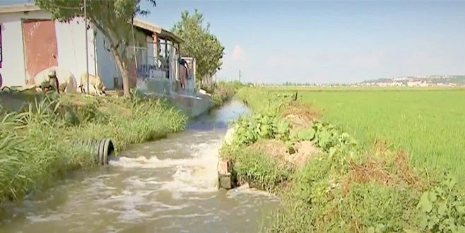 EDİRNE`DE  TARIM ARAZİLERİ SULANMAYA BAŞLANDI