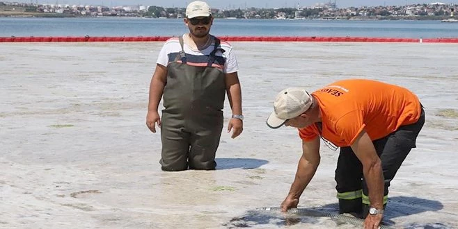 EN ÖZENLİ MÜSİLAJ TEMİZLİĞİ