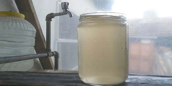 LİMONATA DEĞİL ŞEBEKE SUYU: HAYVANLAR BİLE İÇEMEDİ 