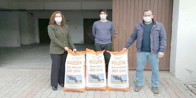 ÇİFTÇİLERE 250 KİLOGRAM İTALYAN ÇİM TOHUMU DAĞITILDI