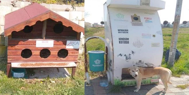 SÜLEYMANPAŞA SOKAK HAYVANLARINI UNUTMADI