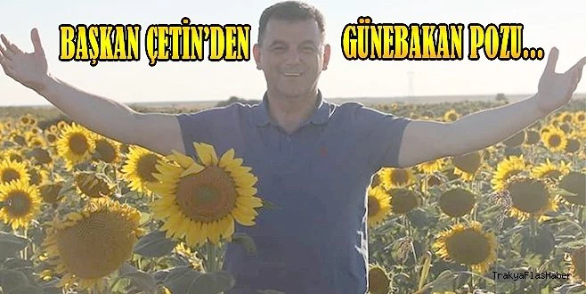 AYÇİÇEĞİ TARLASINDAN BEREKET DİLEĞİ