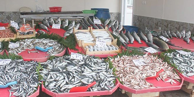 KOMŞULARININ 10 BİN TL DEĞERİNDE BALIĞINI ÇALDILAR