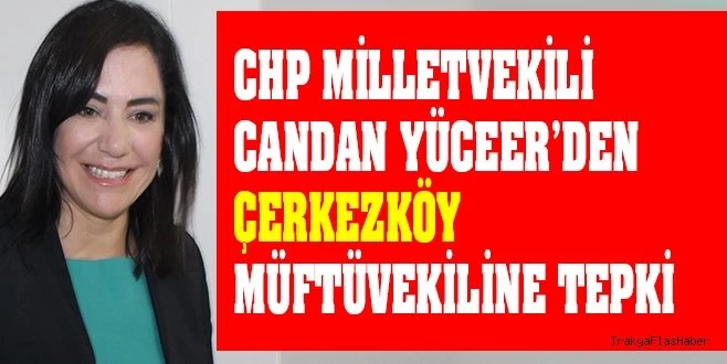 BİR TEPKİ`DE YÜCEER`DEN