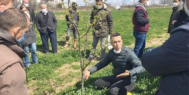 KURSİYERLERE UYGULAMALI BUDAMA EĞİTİMİ 