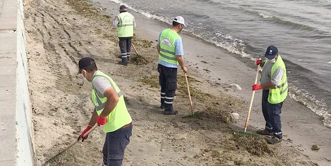 DENİZ VE KIYI TEMİZLİĞİ İLE SAHİLLER PIRIL PIRIL OLUYOR